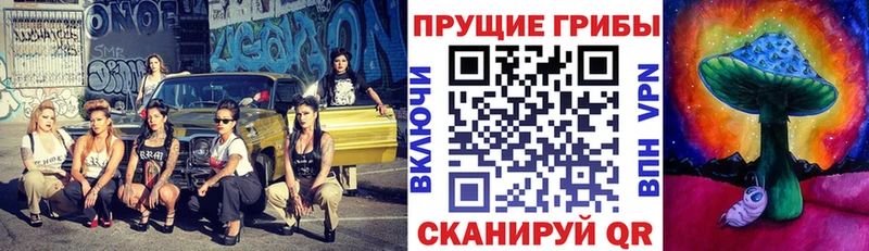 Купить где  Урус-Мартан  Галлюциногенные грибы Magic Shrooms 