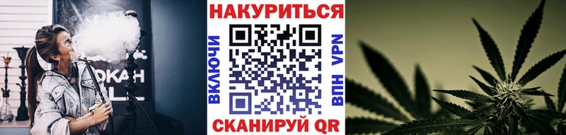 Марихуана план  Купить закладки  Урус-Мартан 